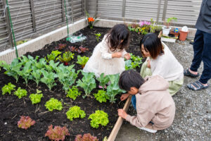 庭の一角につくった家庭菜園